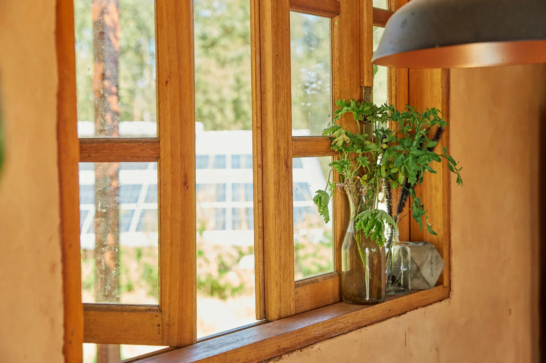 Window Cleaning Tips for Property Owners in Memphis, TN&nbsp;