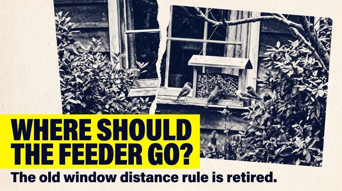 How to Attract Birds to Your Yard: Design it in Layers