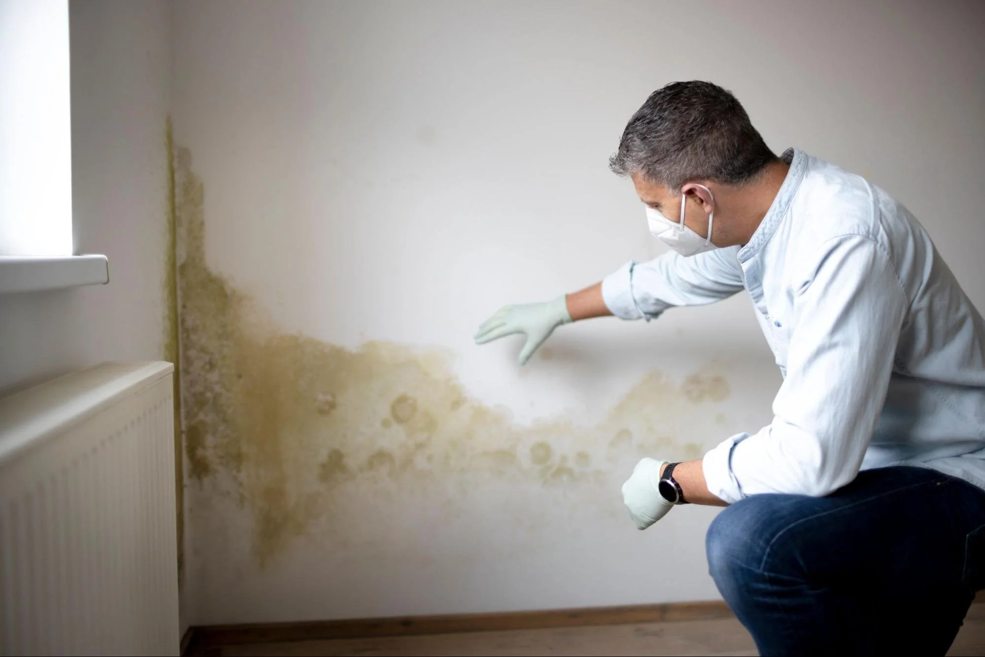 When a Beautiful Home Starts Smelling Musty: What Could Be Hiding Behind the Finish?