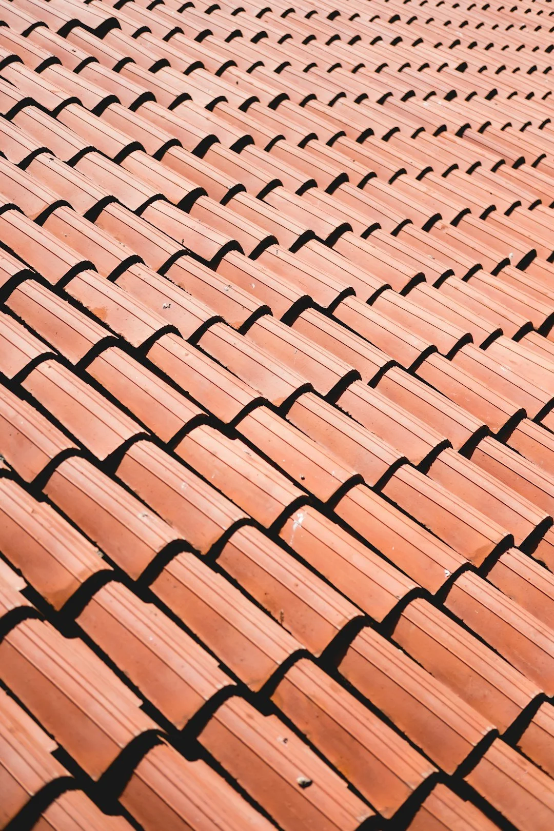 Seasonal Roof Maintenance: What You Need to Know