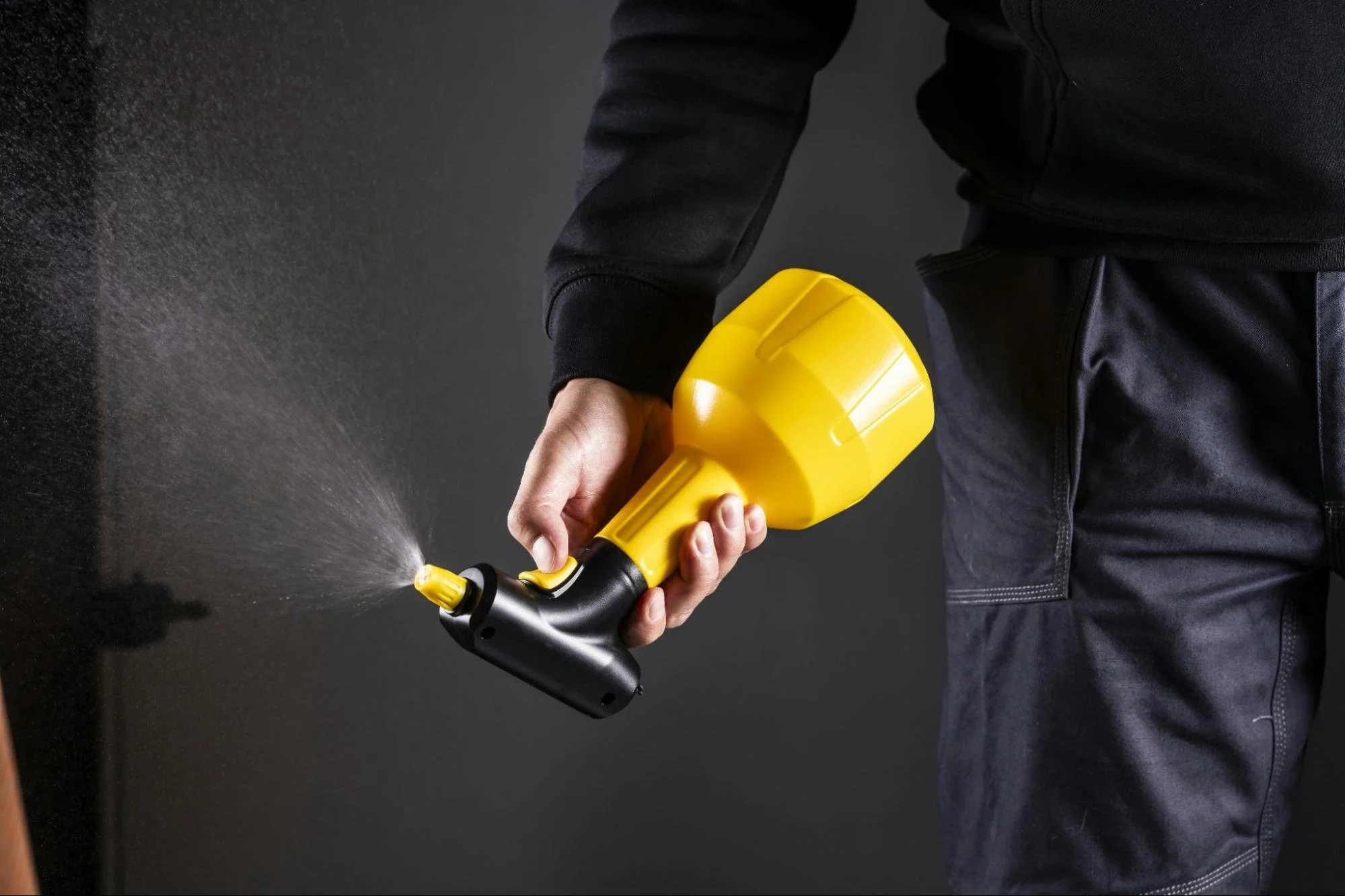 Common Myths About DIY Pest Control, Debunked