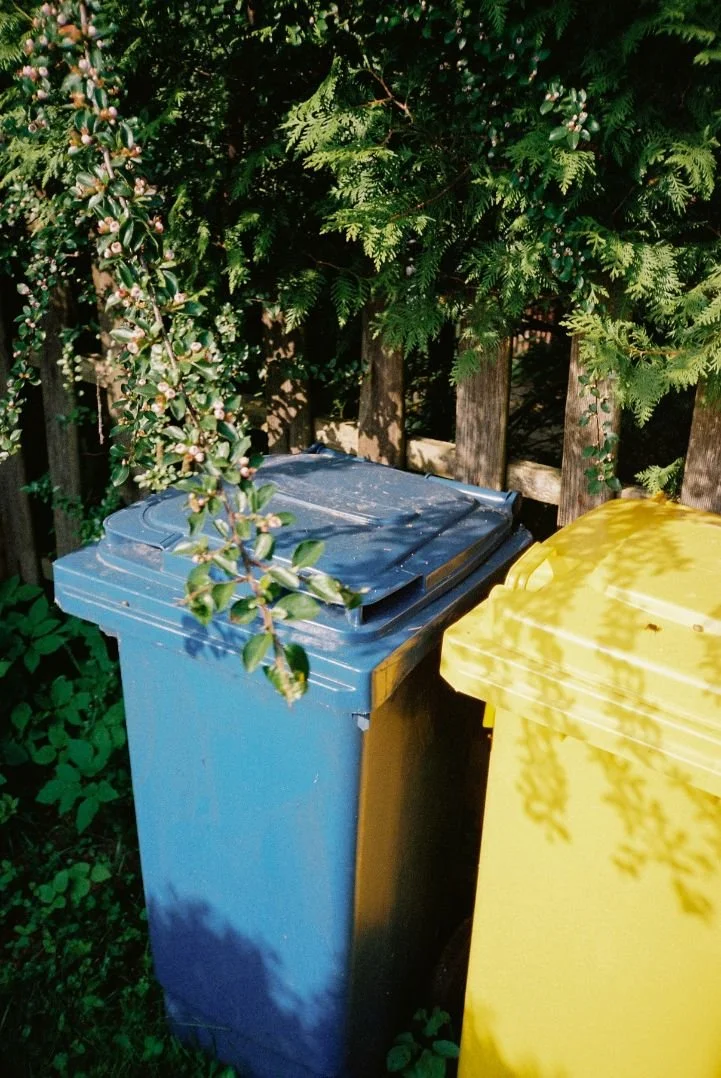 Tackling a Garden Overhaul? Here’s How a Dumpster Makes It Easier