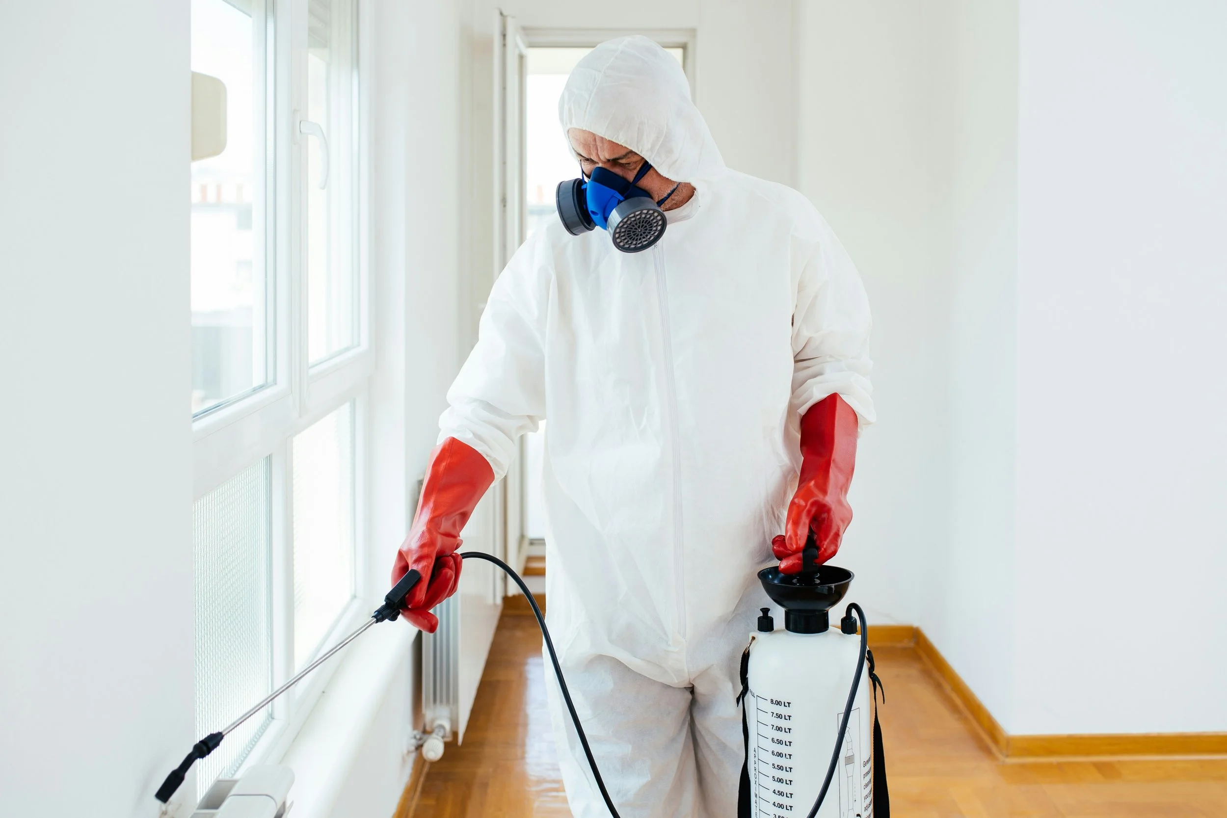Effective DIY Pest Control Methods For Homeowners