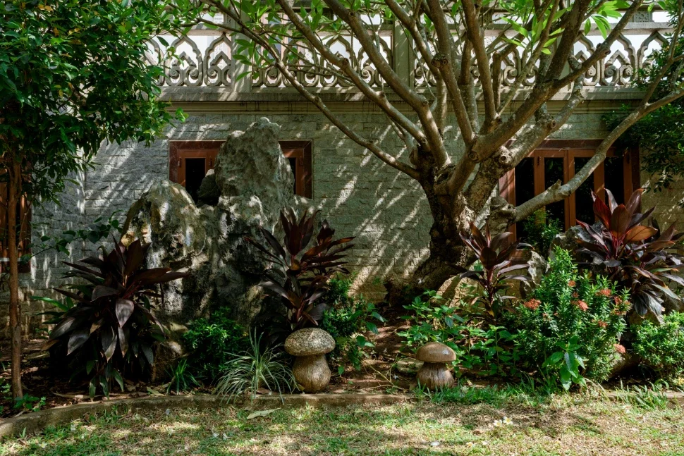 How to Tell If Your Trees Are Sick: A Tree Health Guide for Collin County, TX