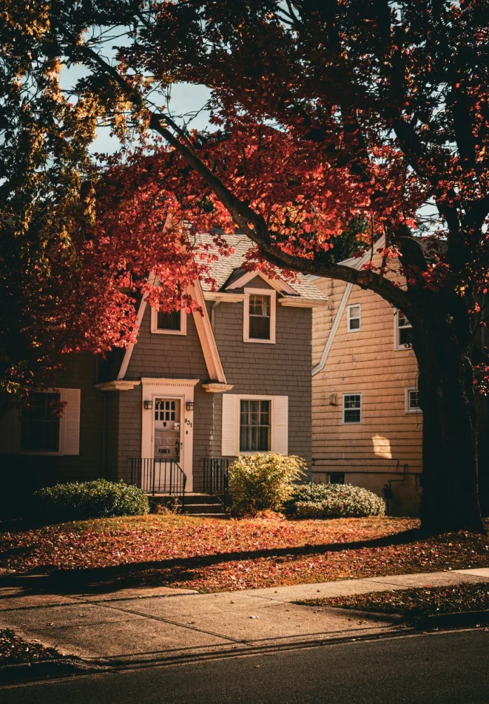 Landscaping Choices That Can Increase the Risk of Termites Near Your Home