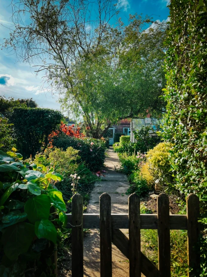 How To Control Water Flow In An Outdoor Garden System