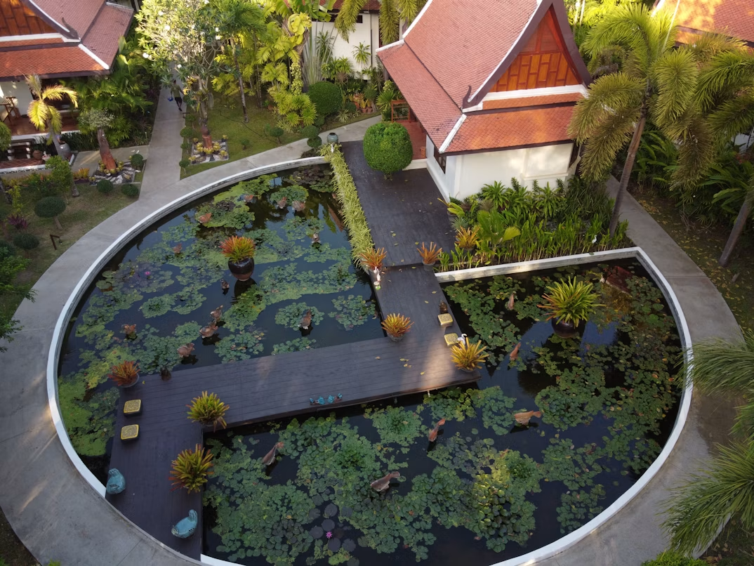 How to Design the Perfect Pond for Your Landscape