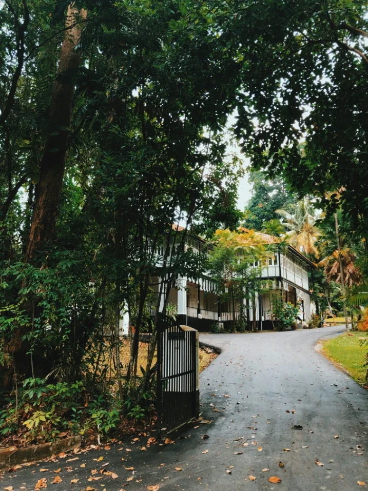 What Makes Park Bungalows Different From Other Homes