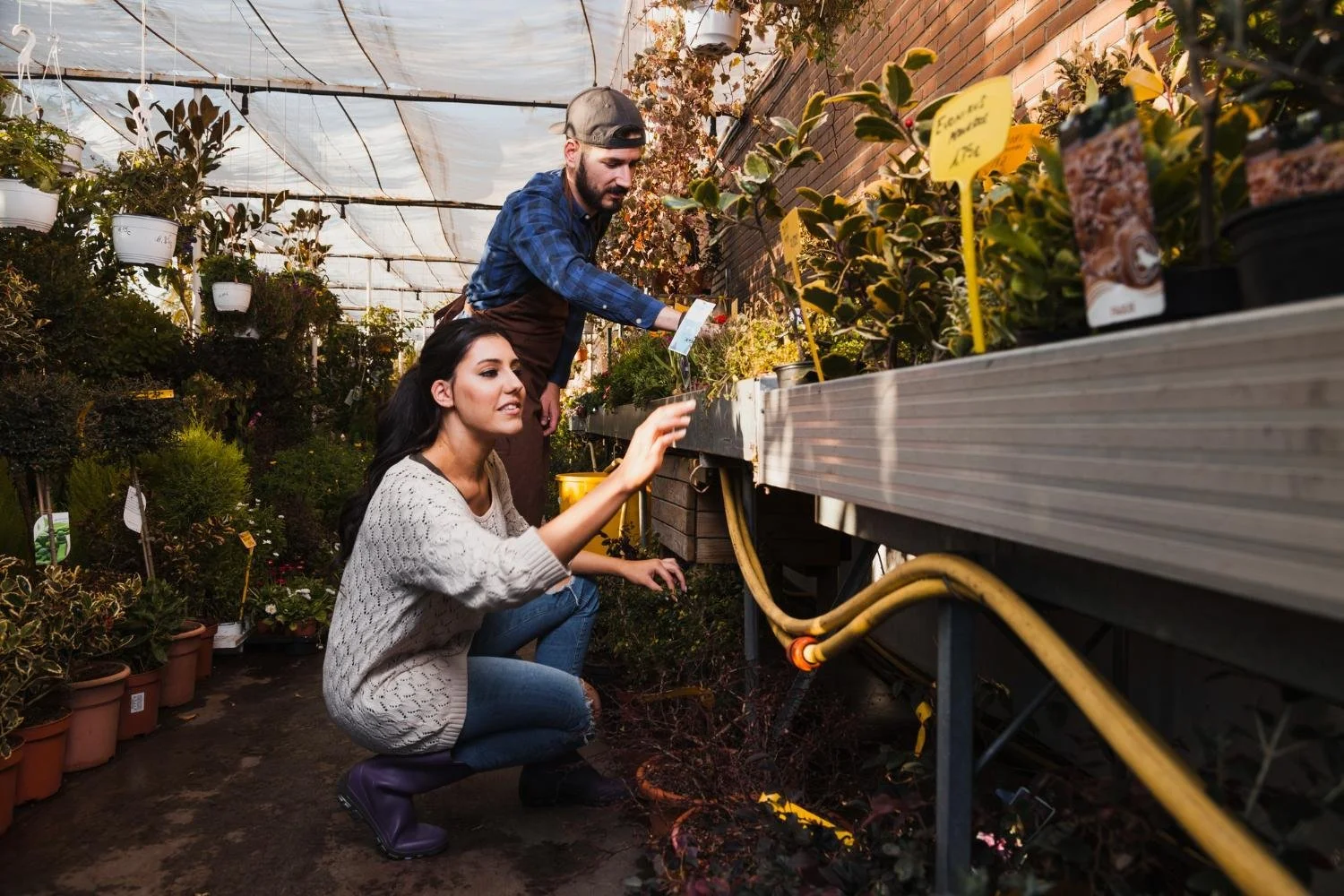 How Roofing and Drainage Influence Long-Term Garden Sustainability