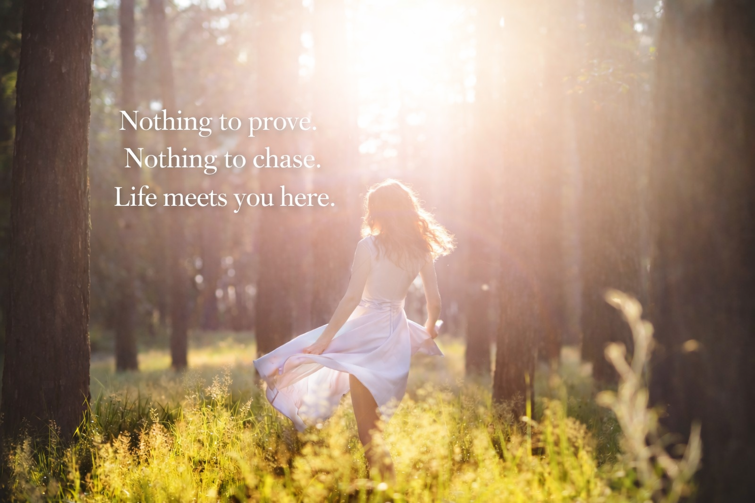 Nothing to Prove. Nothing to Chase. Life Meets You Here.