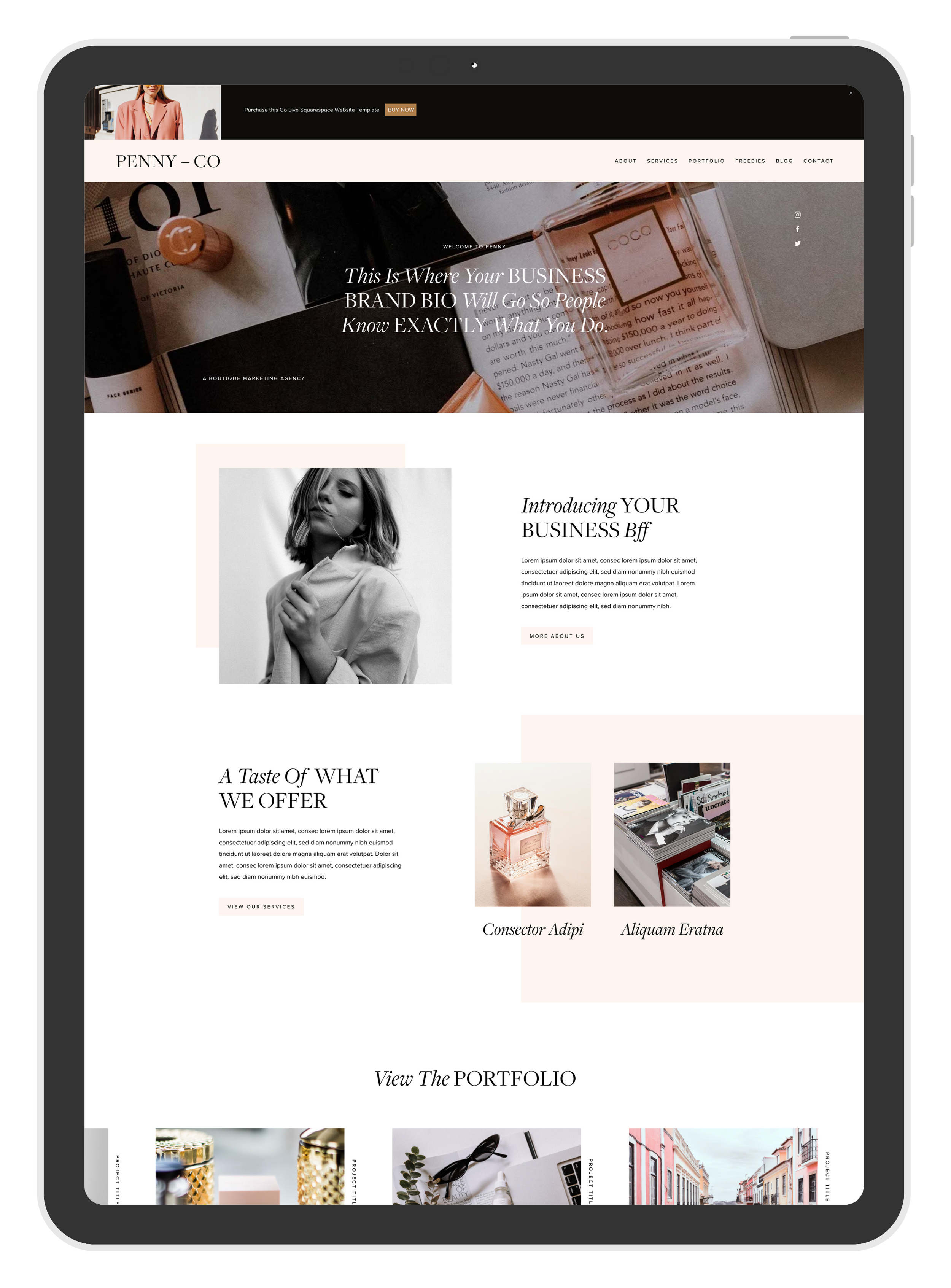 ipad view of sqaurespace template Penny by GoLive