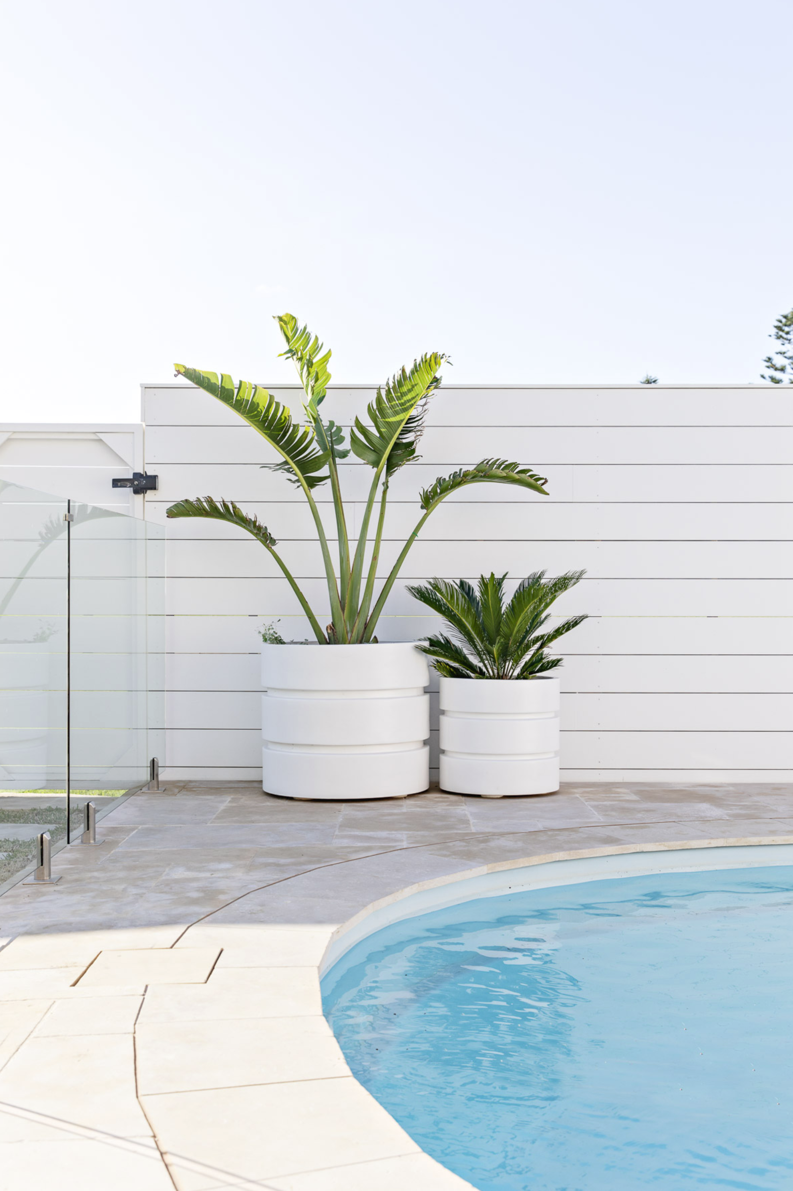 poolside-brand-photoshoot-location-the-shore-southcoast-nsw-fjordandfolkcreative.png