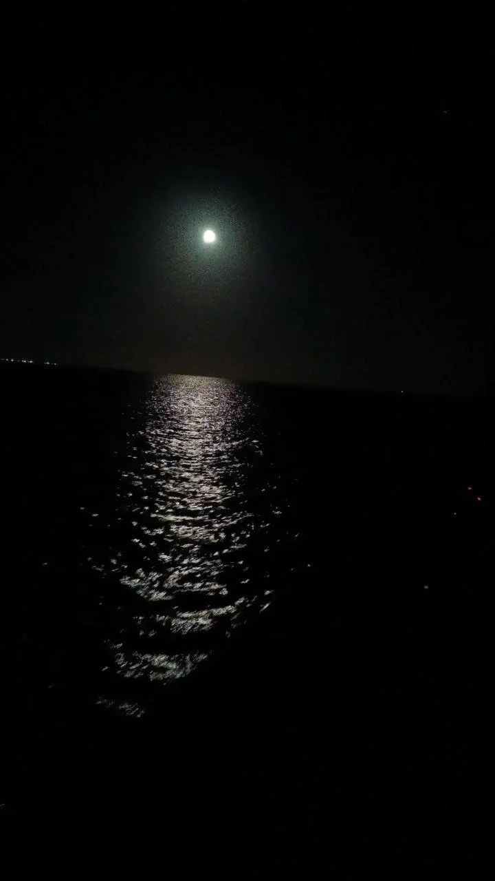 IMG_20230403_042321_01.jpg