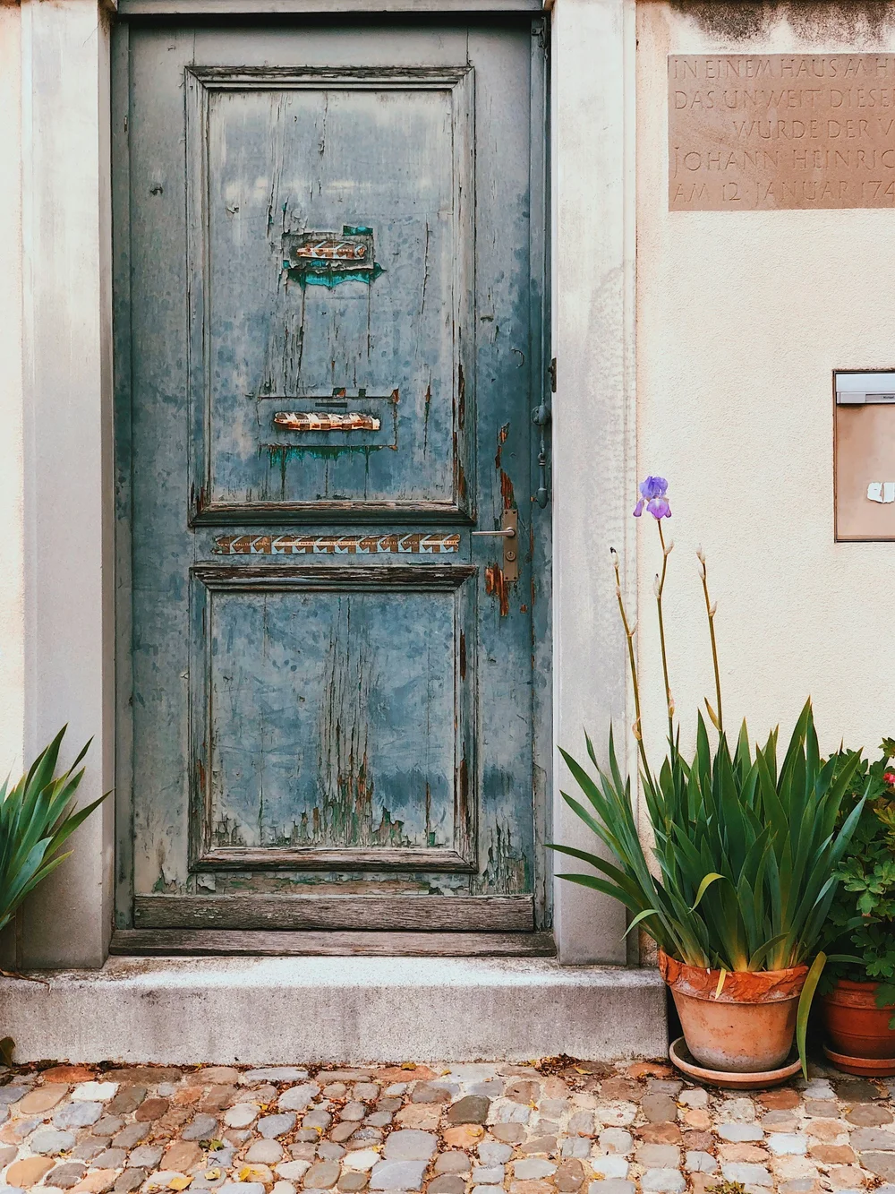 A weathered blue doorway with potted plants