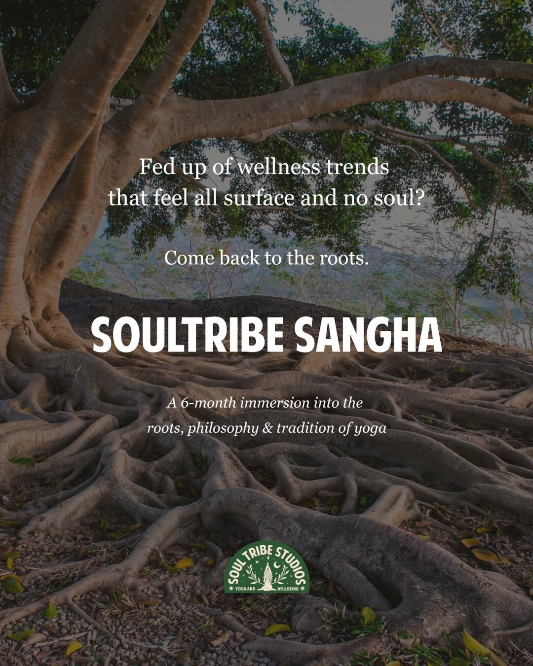 You&rsquo;ve done the classes. You know the poses. But have you ever really understood why any of it works?

Soul Tribe Sangha is a 6-month immersion into the roots, philosophy and tradition of yoga - beyond performance, beyond aesthetics, into pract