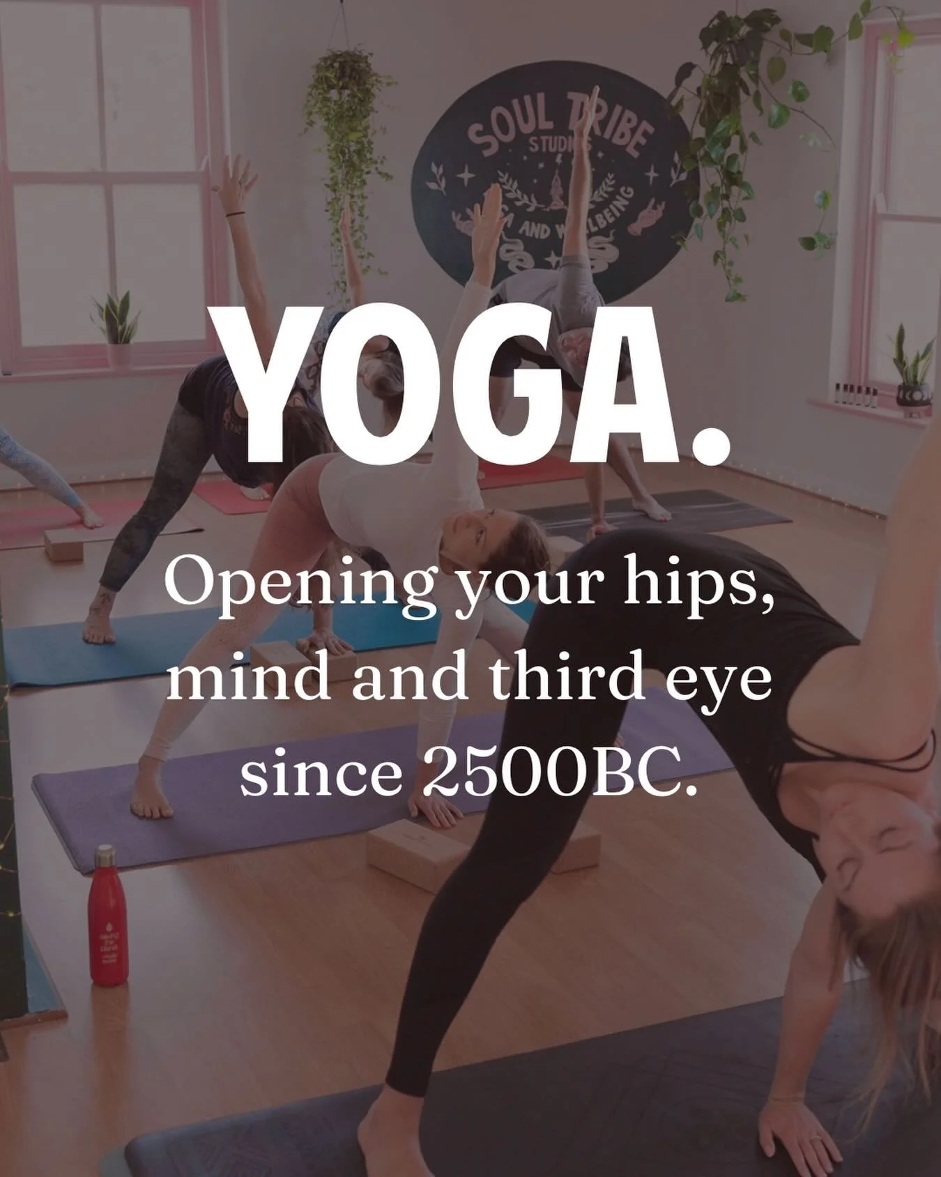 Before the yoga police come for me: yes, I know physical asana as we know it didn&rsquo;t show up for a long time after this.

But there&rsquo;s a tiny steatite seal, found in the ruins of Mohenjo-daro, showing a seated figure in what many believe is