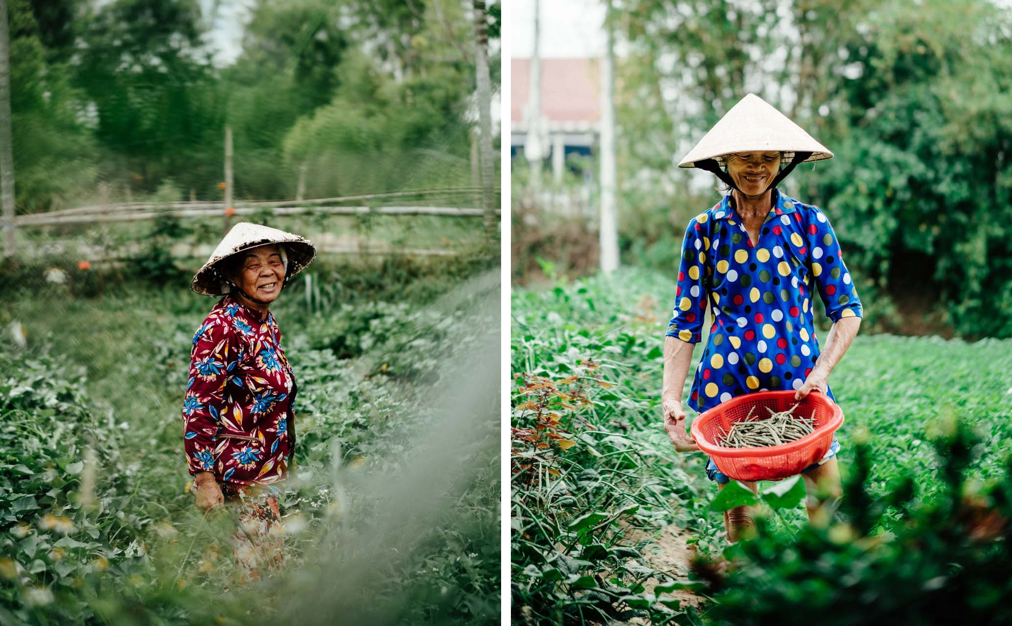 vutheara_vietnam_03.jpg
