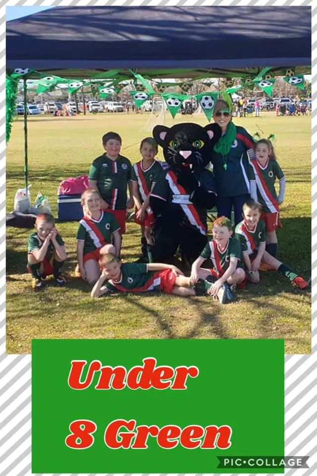 U8 Green.jpg