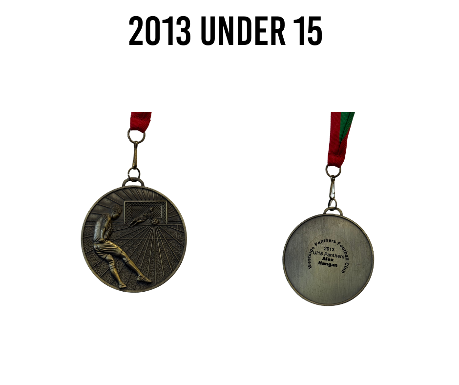 2013 Under 15's Medal