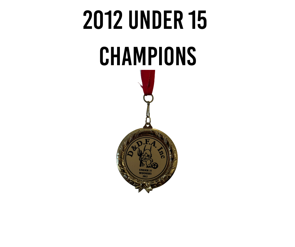 2012 Under 15's Champions Medal (DDFA)