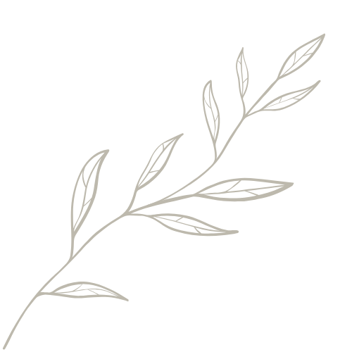 Zweig mit Blättern