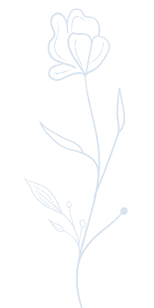 Umriss Blume