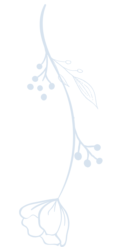 Blume Umriss