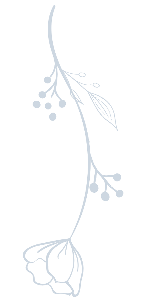 Umriss Blume