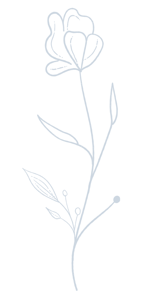 Umriss Blume