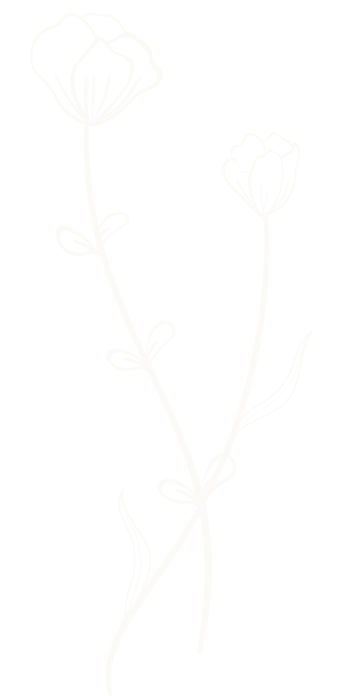 Umriss Blume