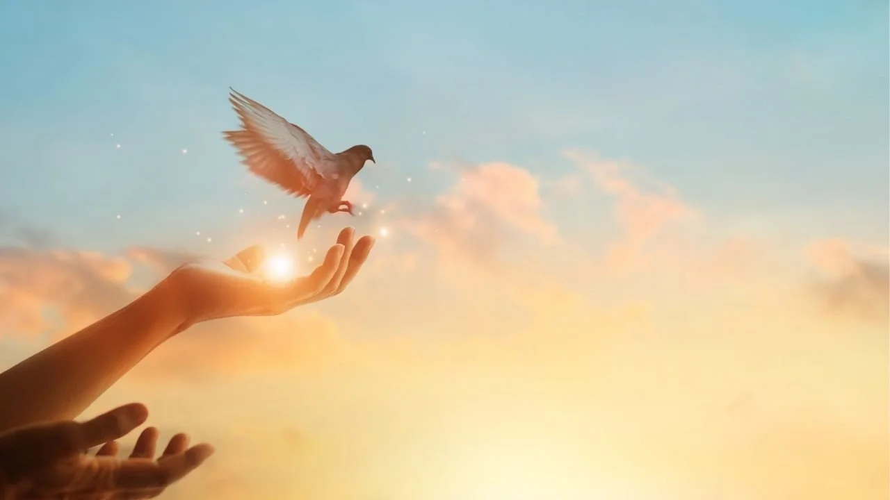 Vogel der aus einer Hand fliegt