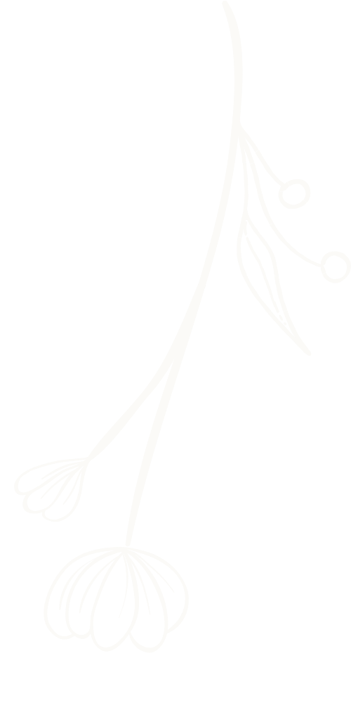 Umriss Blume