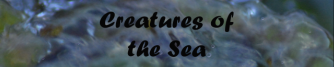 imagetodropsea.png