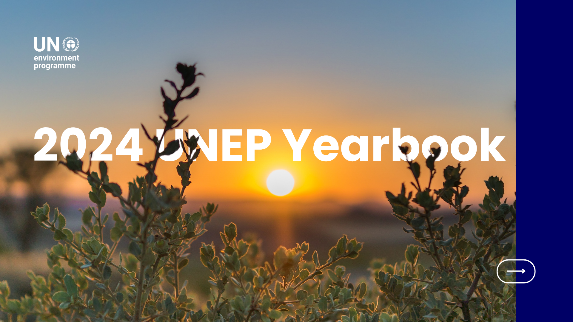 UNEP Snapshots 2024 for Townhall (Vídeo).png