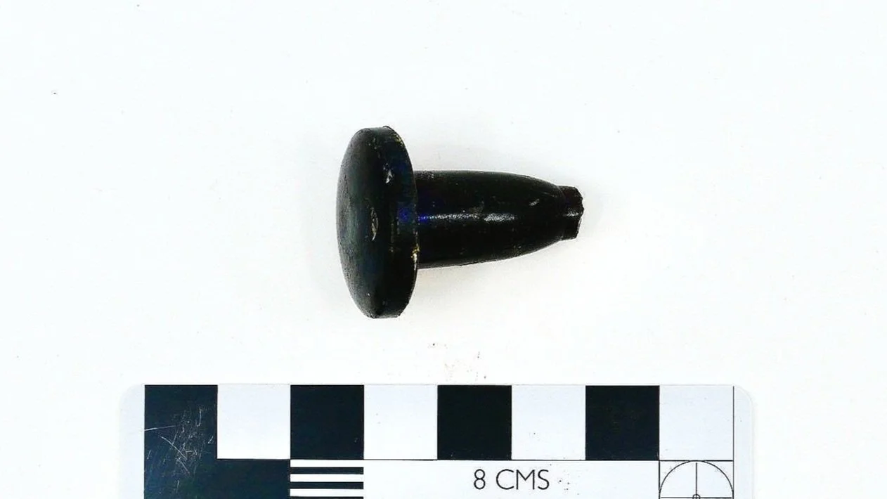 P1011774.jpg
