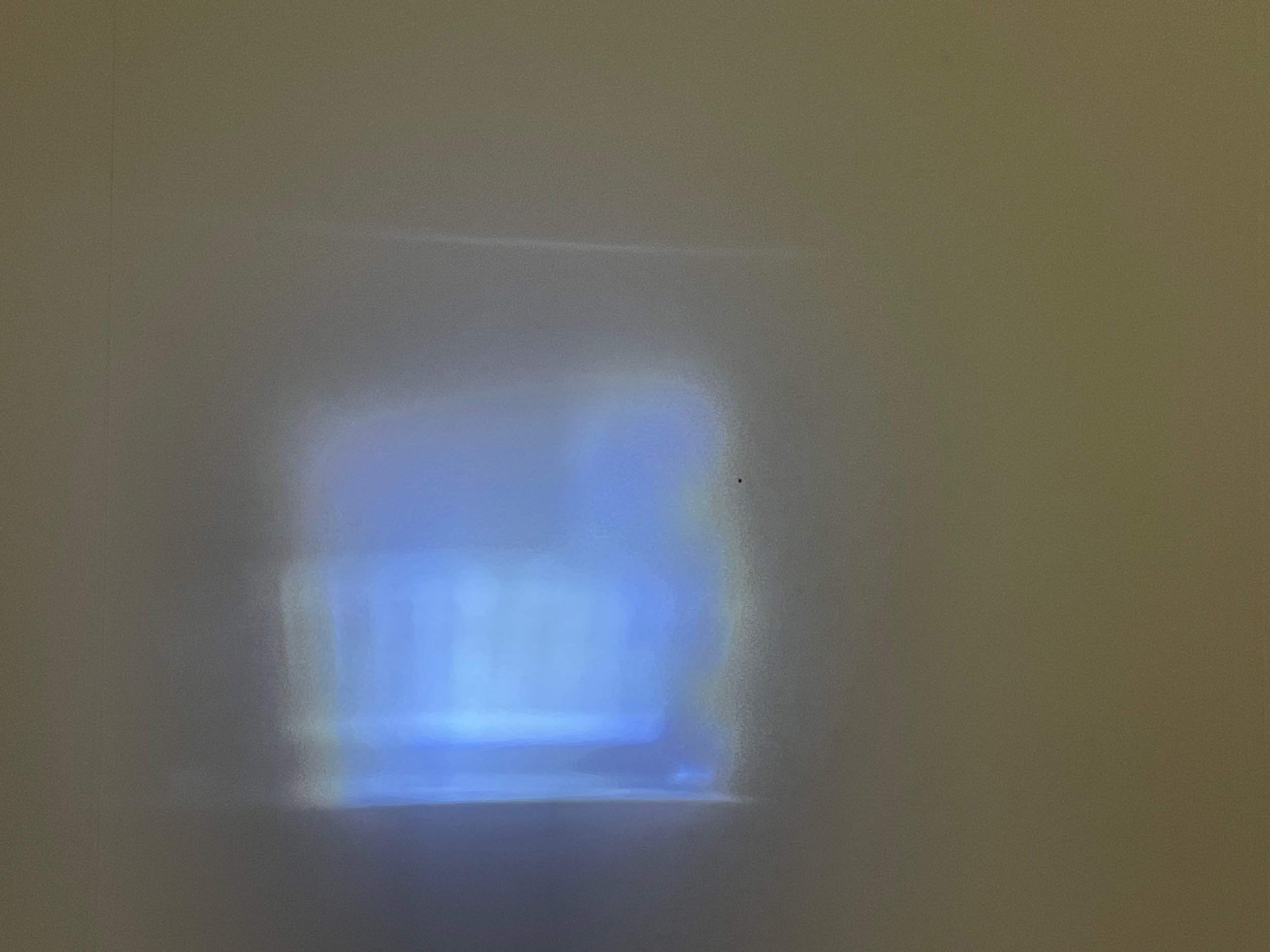 IMG_6582.jpeg
