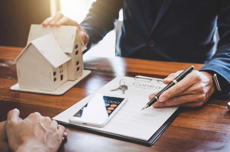 Copy of Maddie's Stock Photos.png