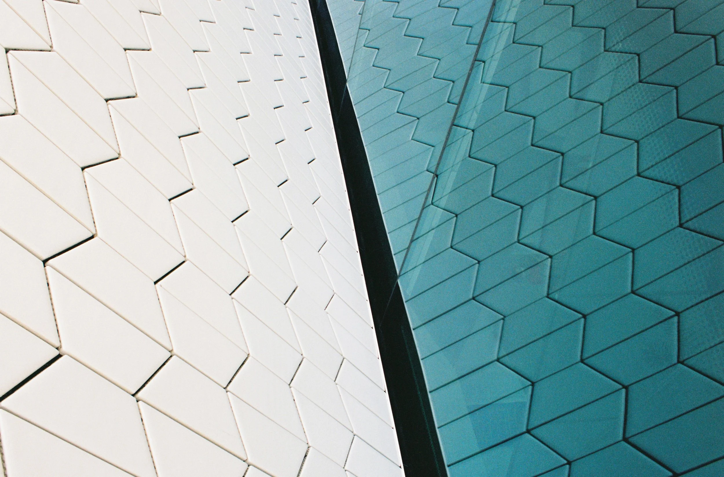 Twist the Motion Picture