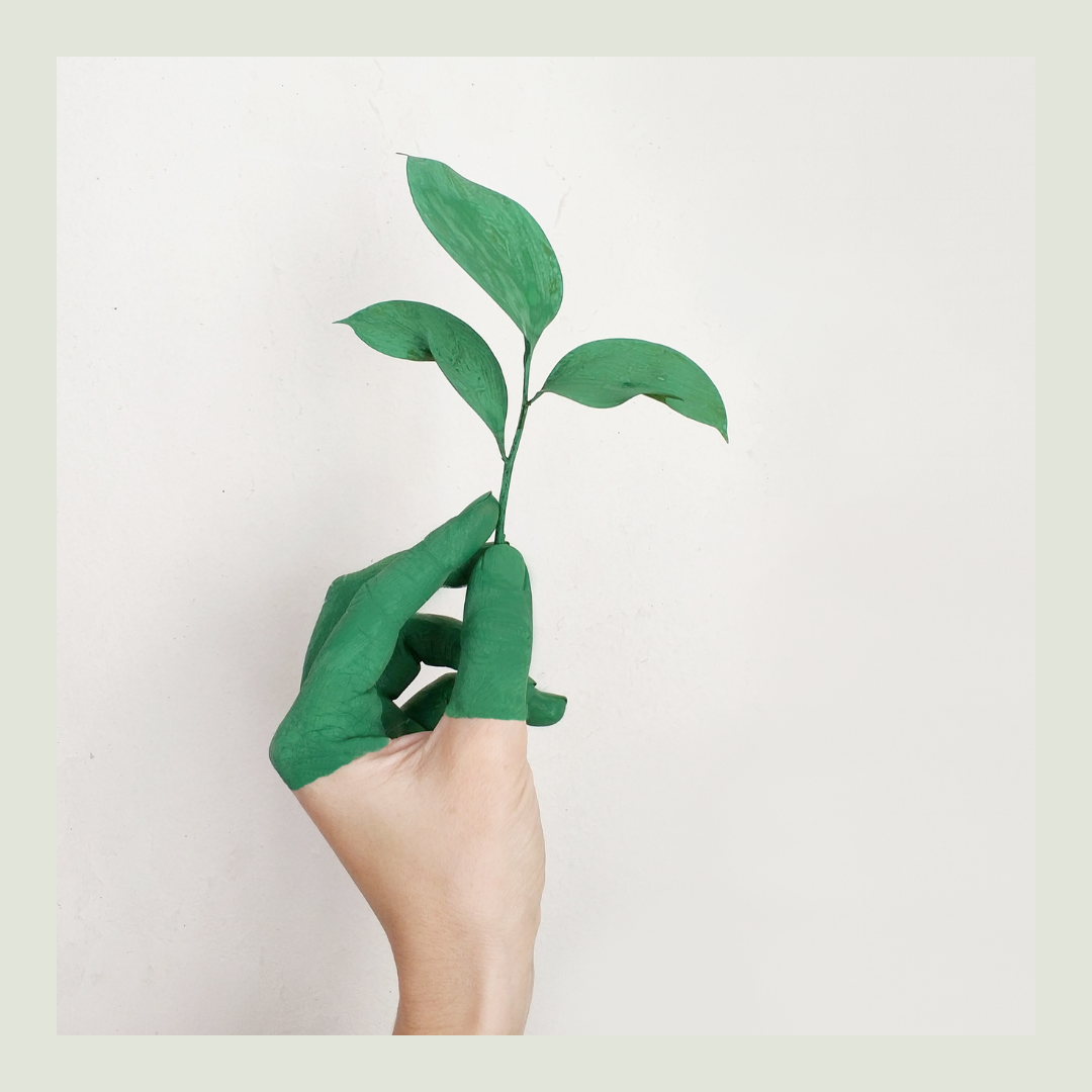 Cleaning Service-2.png