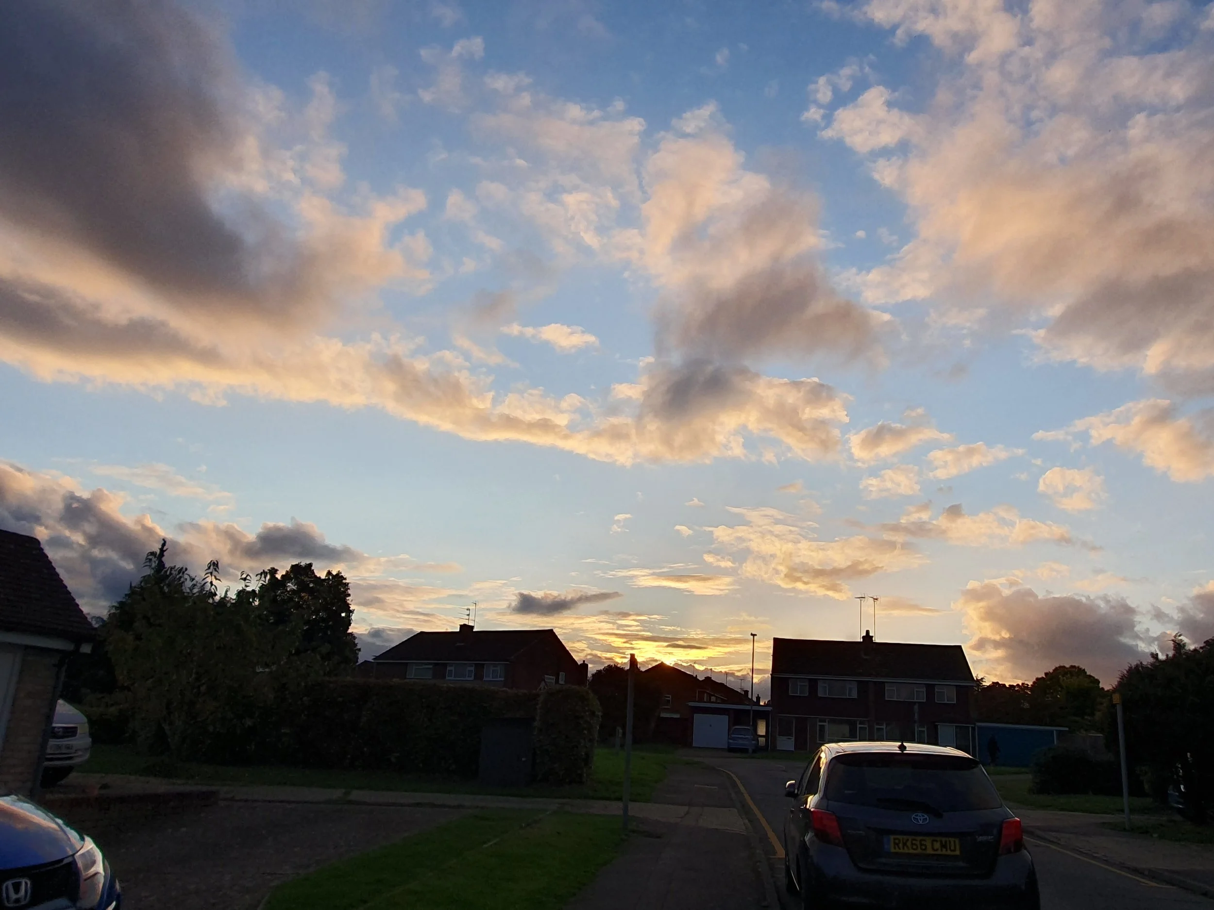 20241010_175132.jpg