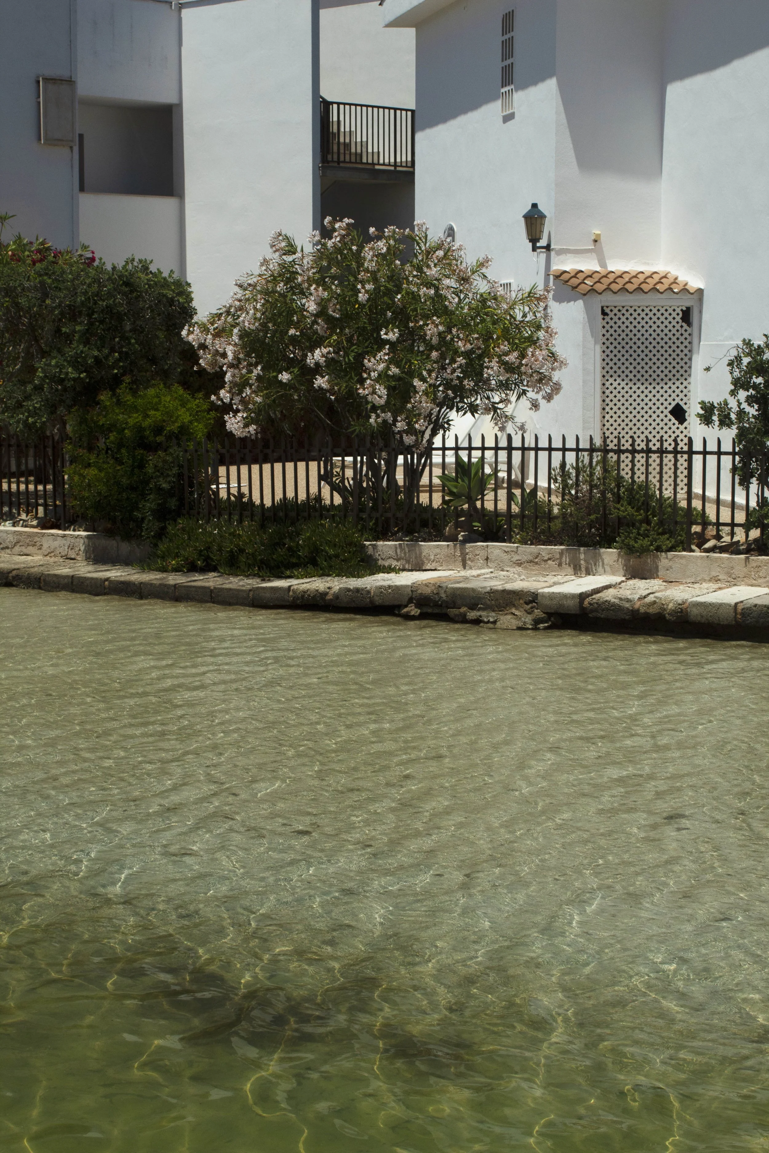 green groggy water.jpg