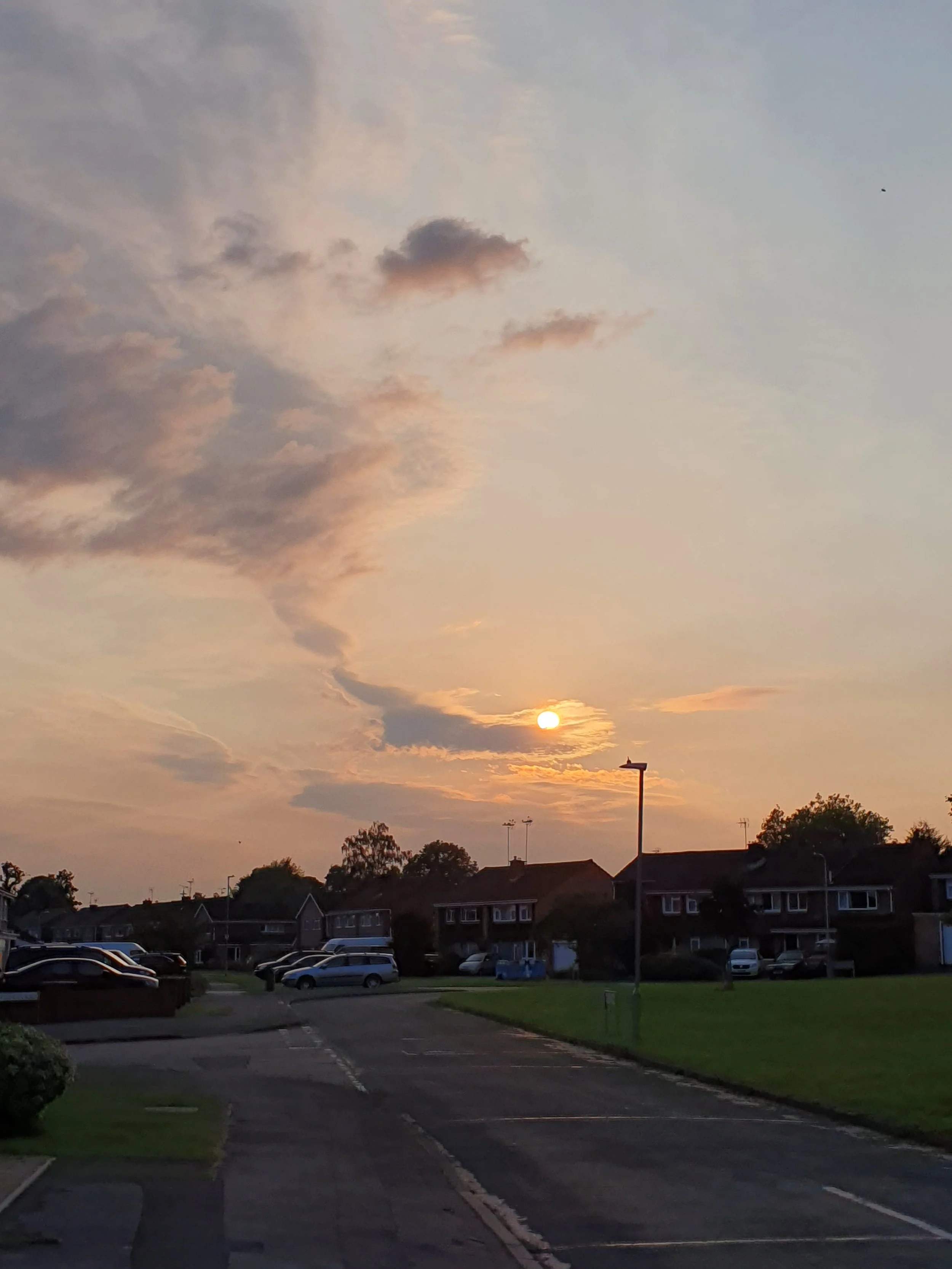 20240921_181157.jpg