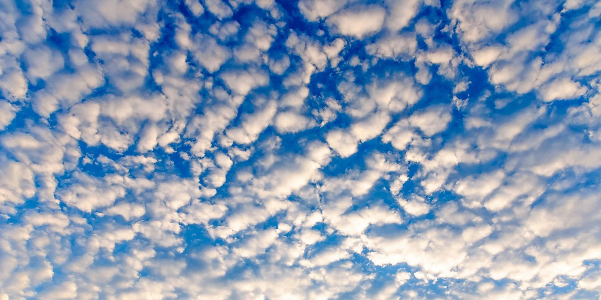 altocumulus.jpg
