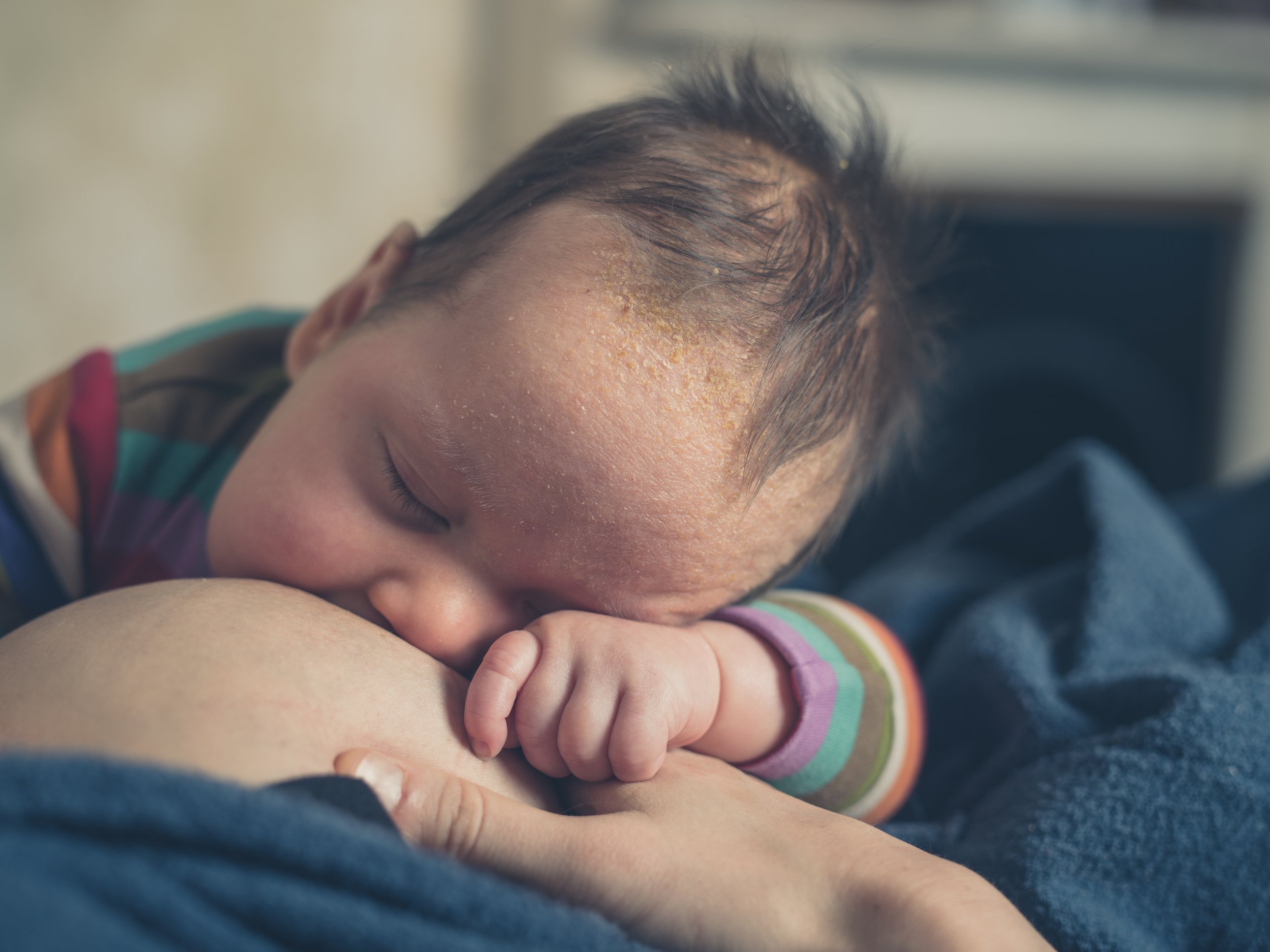 AdobeStock_133621654.jpeg
