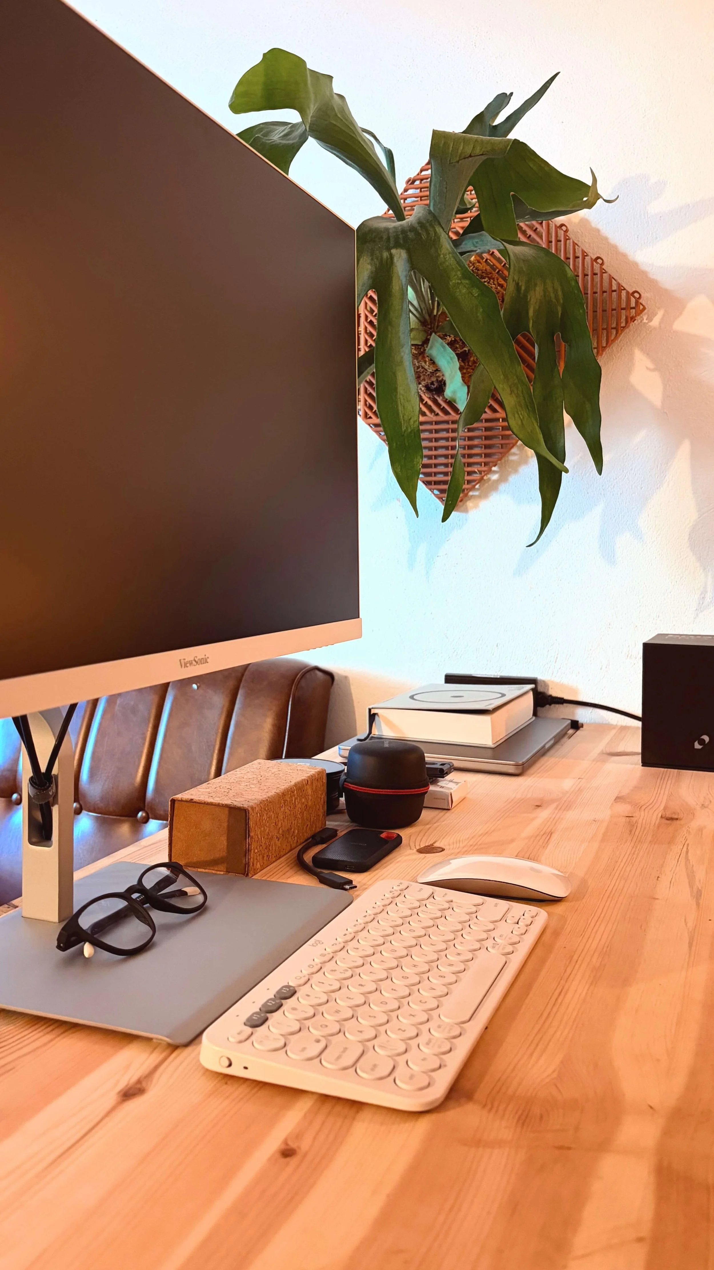 Francesco Toffoli Design Studio desk setup, wooden surface, large monitor, keyboard, mouse and a plant on the wall.