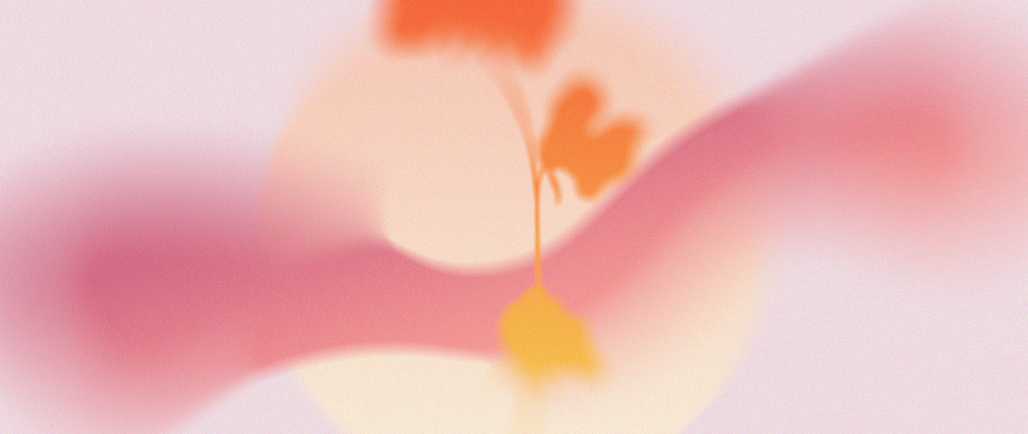 Abstract with soft pink and peach tones, featuring a blurry flower and circular shapes.