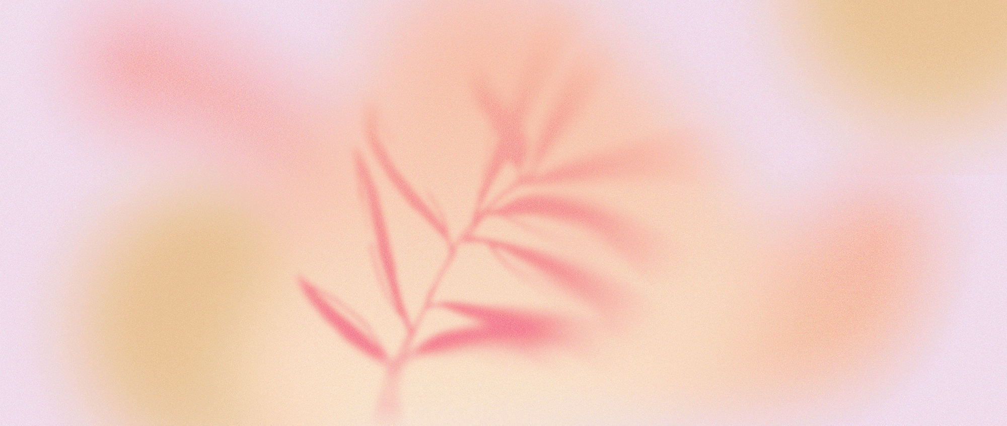Soft focus image of a delicate pink and beige leaf against a pastel-colored background.
