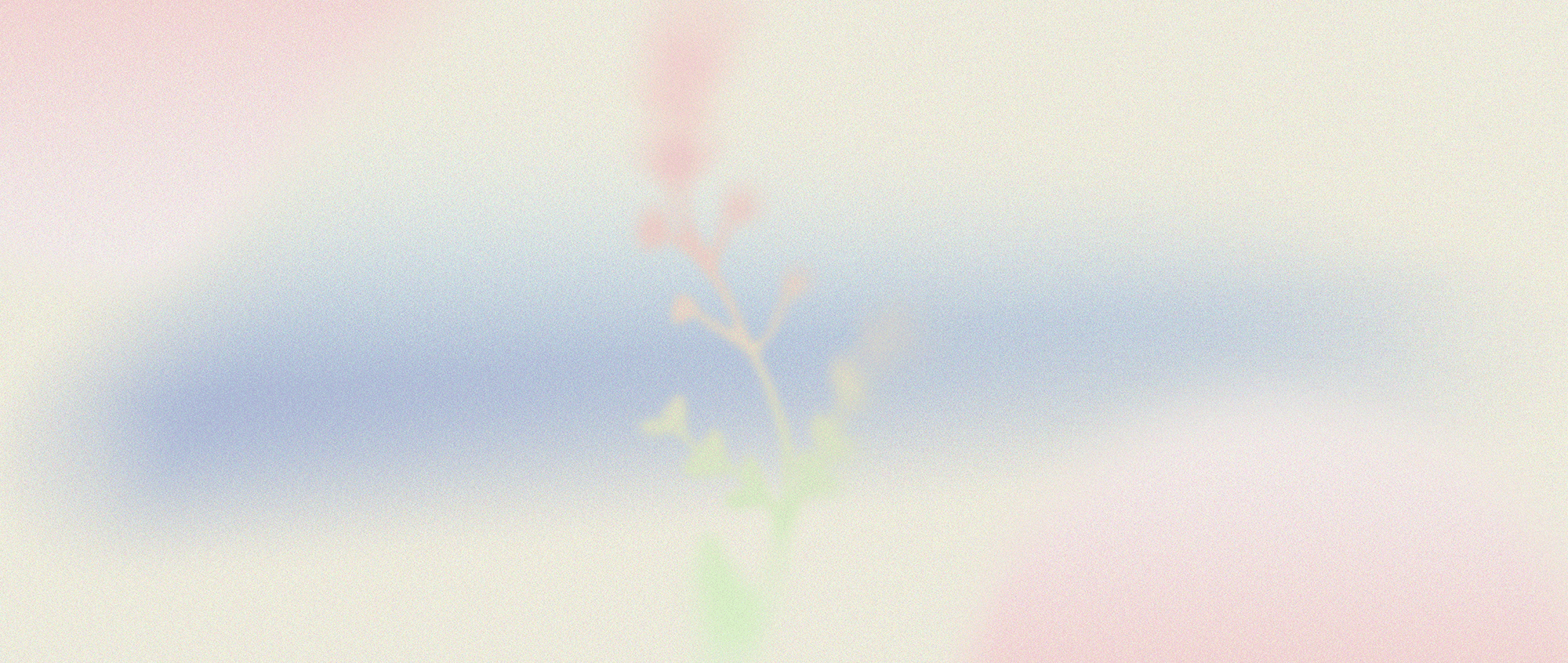 Blurred pastel-colored abstract background with a faint plant or flower outline in the center.