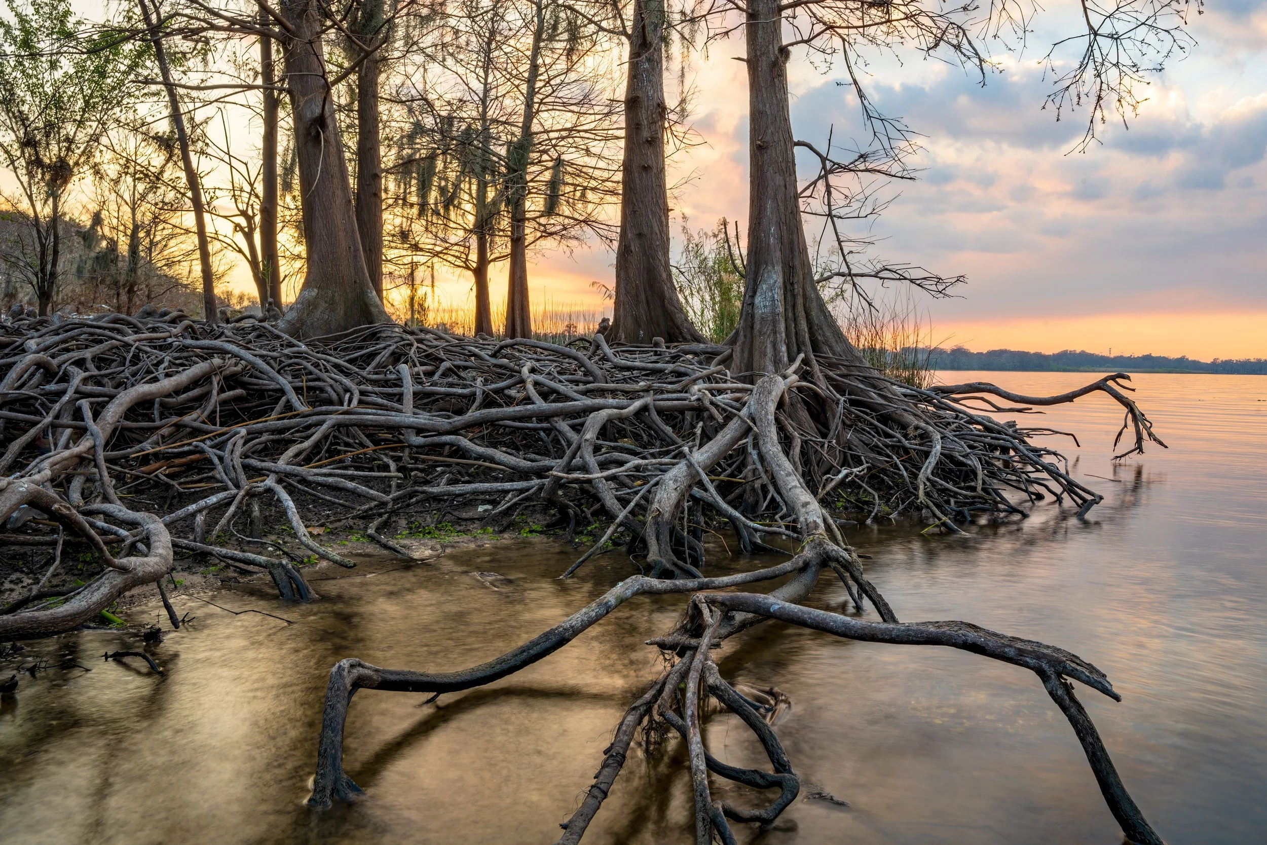 DSC08639-HDR.jpg