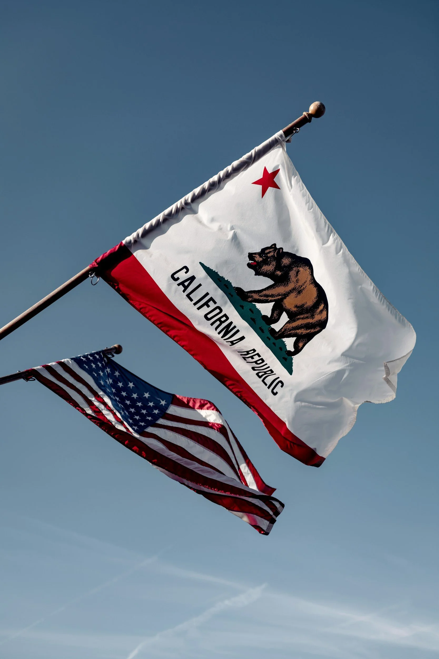 Can You Discharge California EDD Overpayment Debt in Bankruptcy?